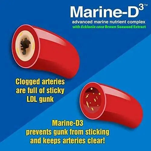 Marine Essentials | Marine-D3 | Anti-Aging | Omega-3 | 6 Bottles (360 Capsules) - Project New Hope New York Inc